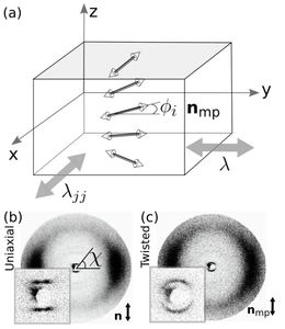 Twisting and untwisting of twisted nematic elastomers