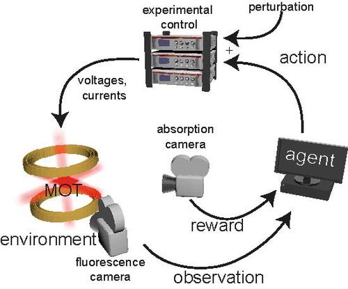 Reinforcement learning in cold atom experiments